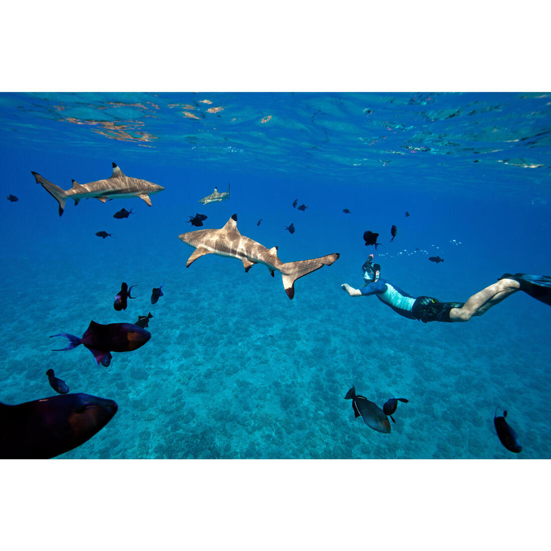 IMG_2203646