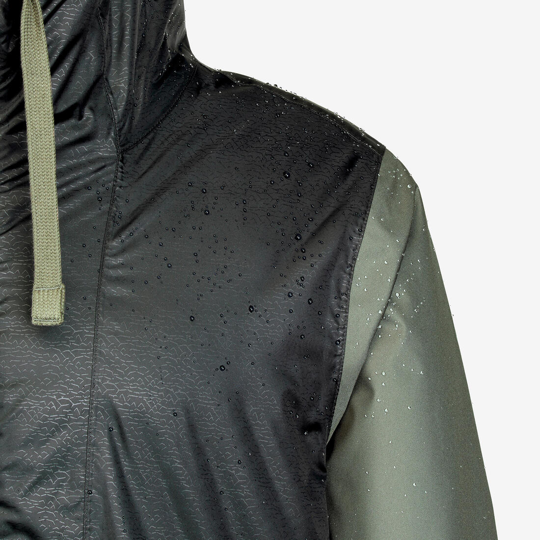 IMG_8874126_3