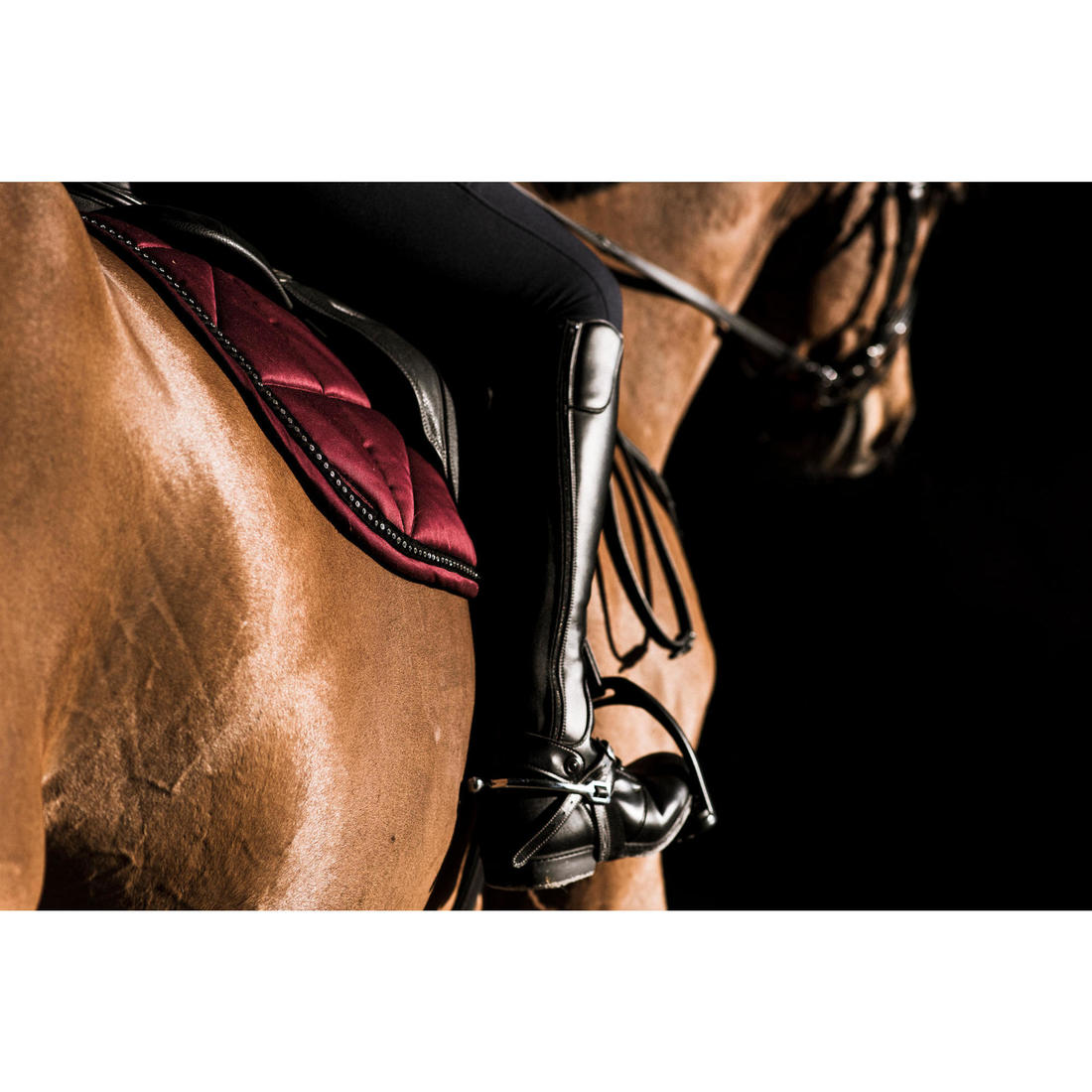 IMG_1518019