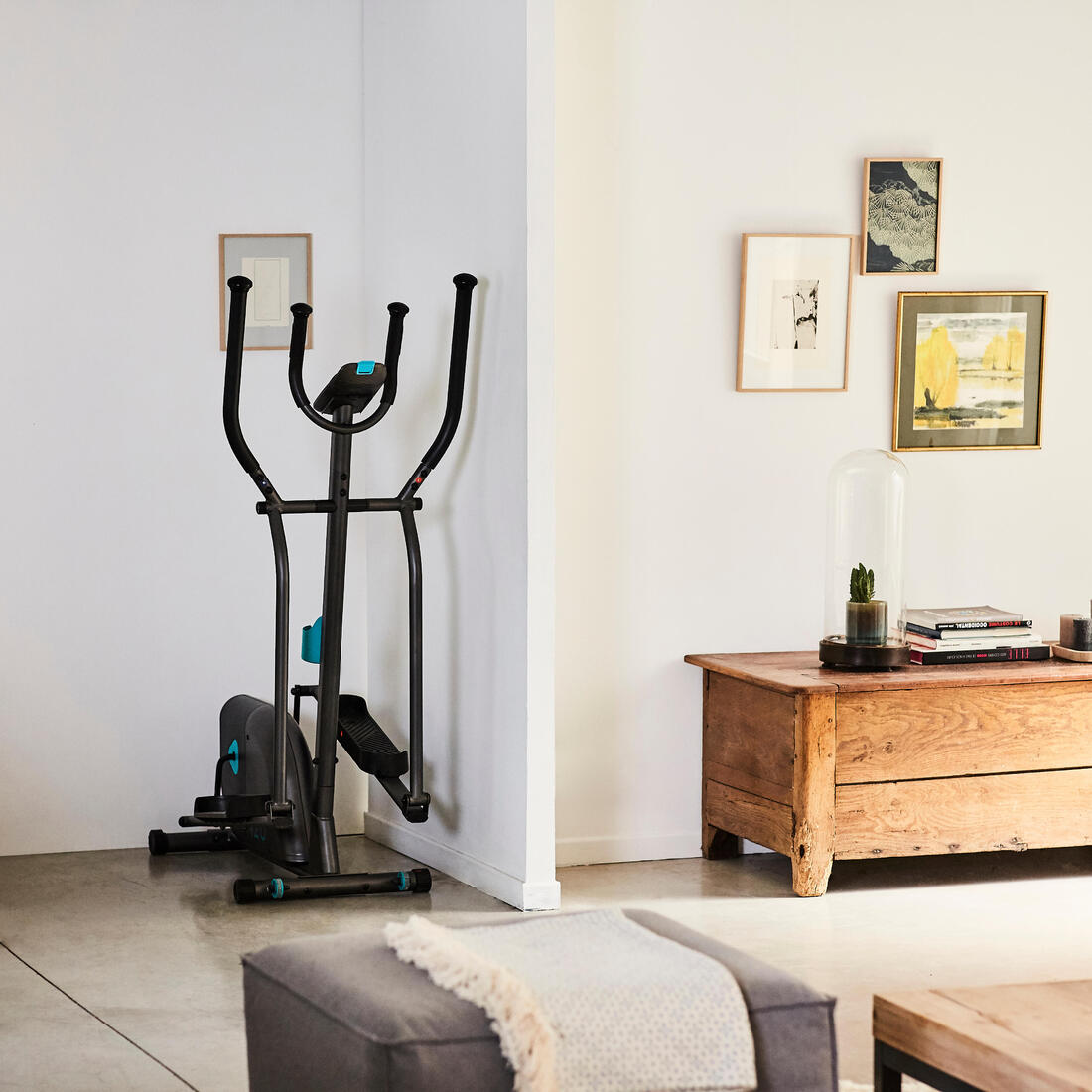 IMG_1545157