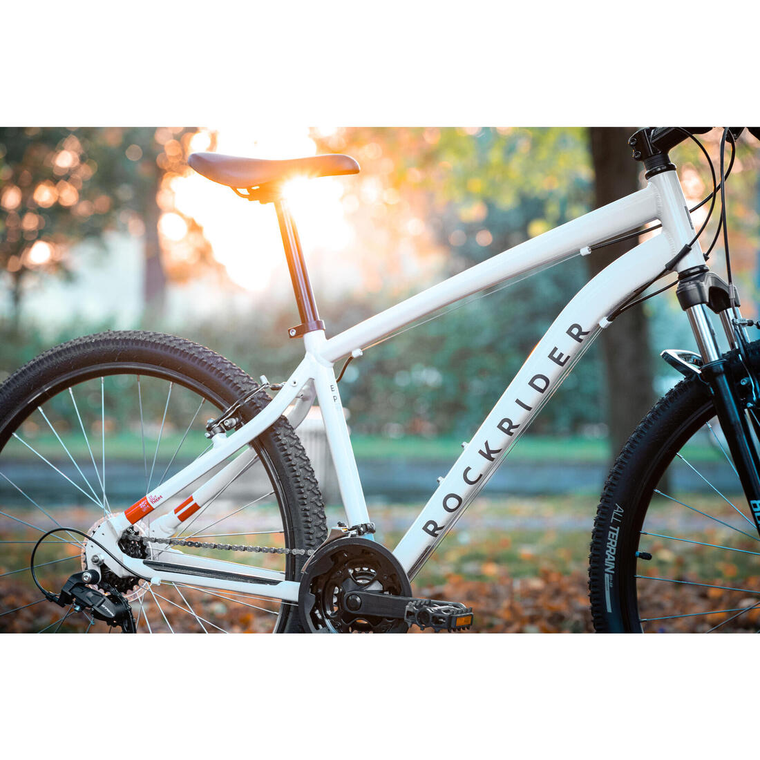 IMG_8802151_12