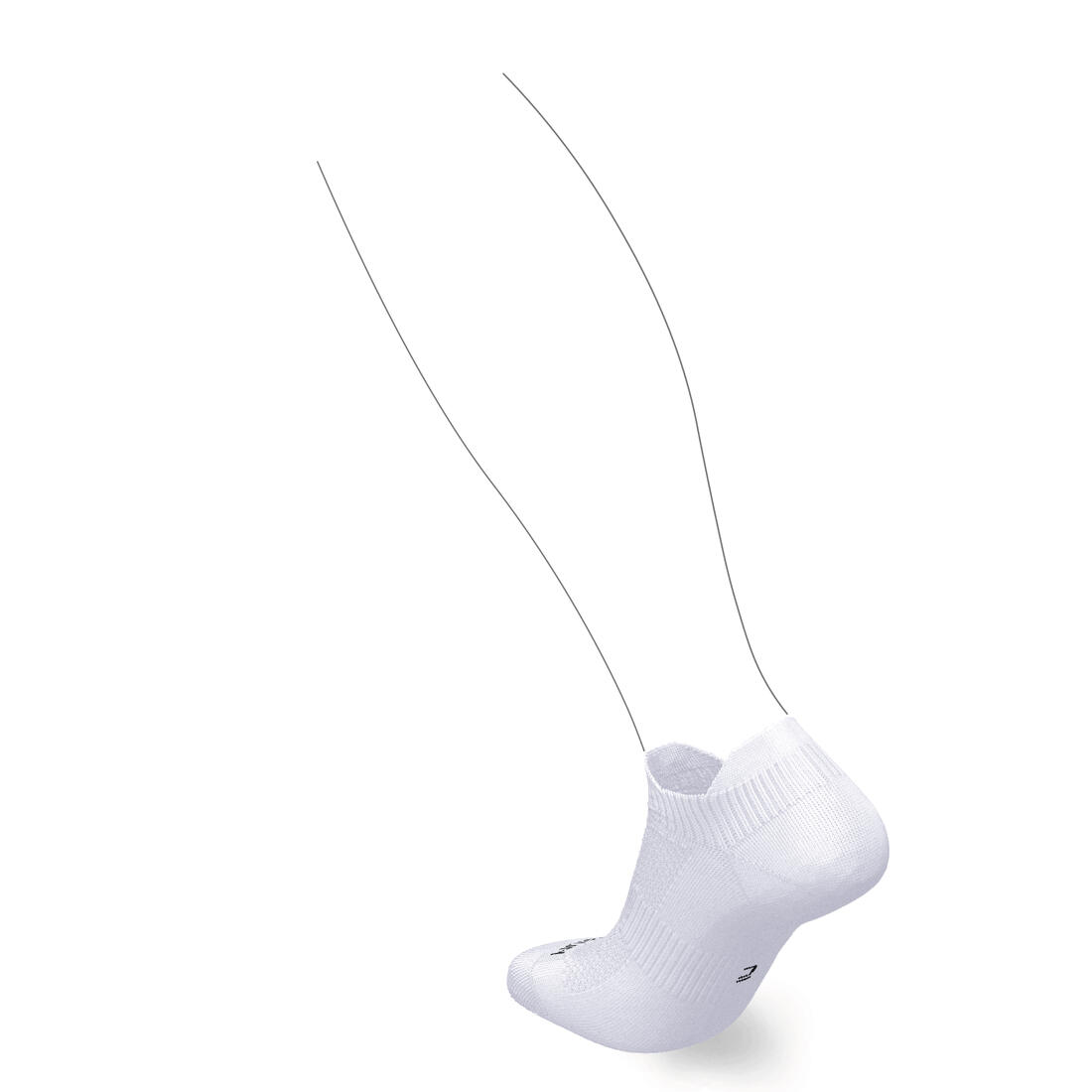 IMG_8610695_2