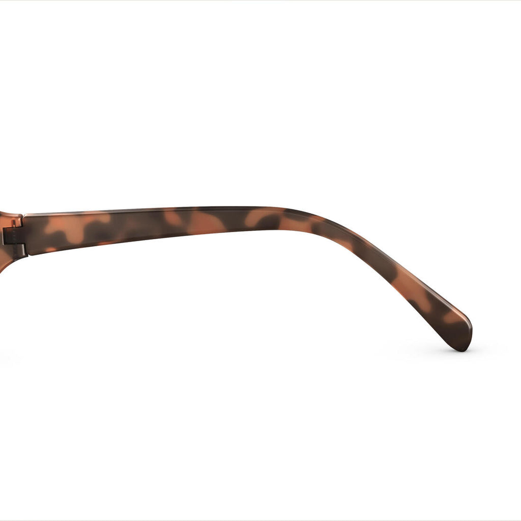 IMG_8382492_8
