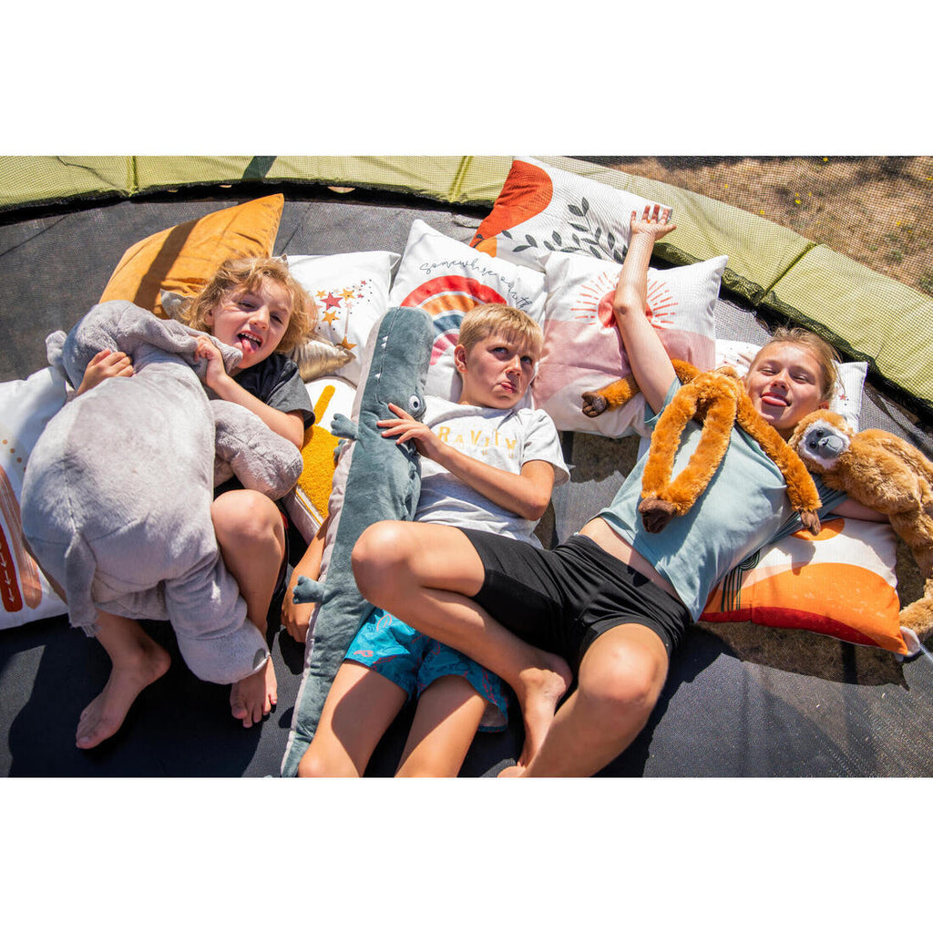 IMG_2381492
