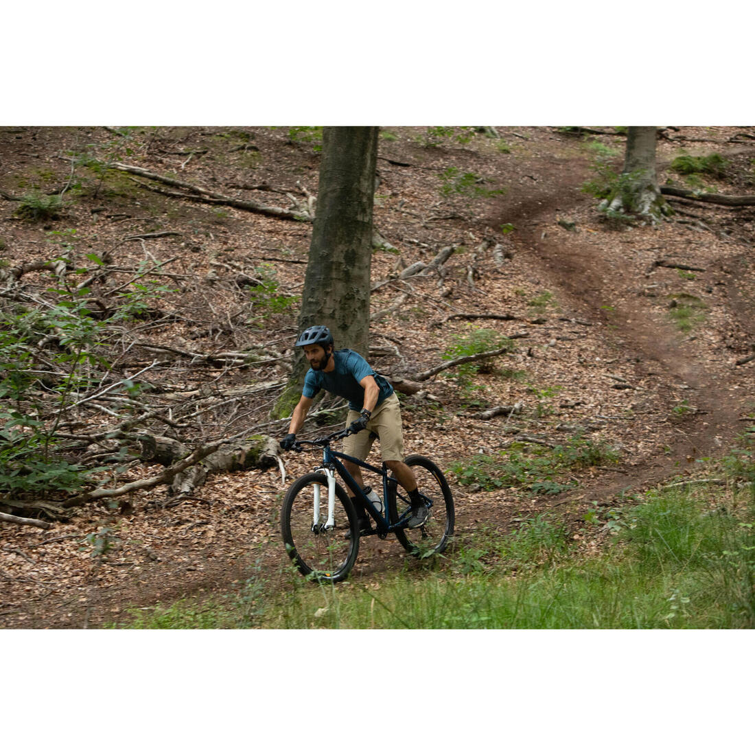 IMG_2376958